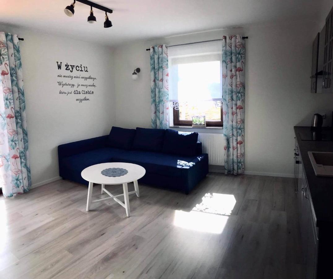 Apartament Przy Potoku Zubrzyca Gorna Extérieur photo
