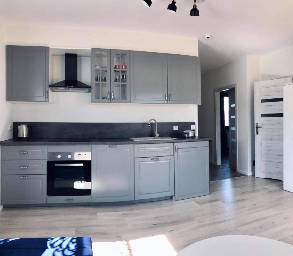 Apartament Przy Potoku Zubrzyca Gorna Extérieur photo